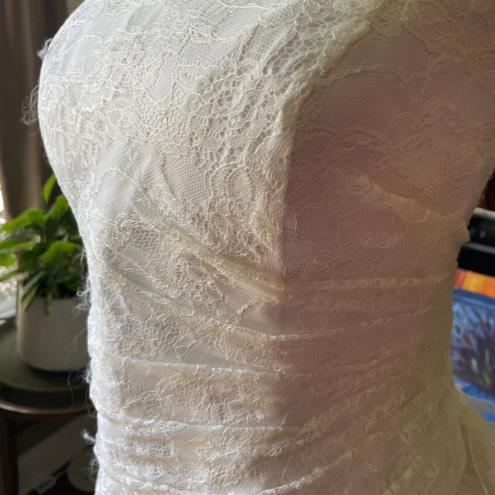 Elegant Strapless White Lace Wedding Dress Plus Size - Picture 10 of 16